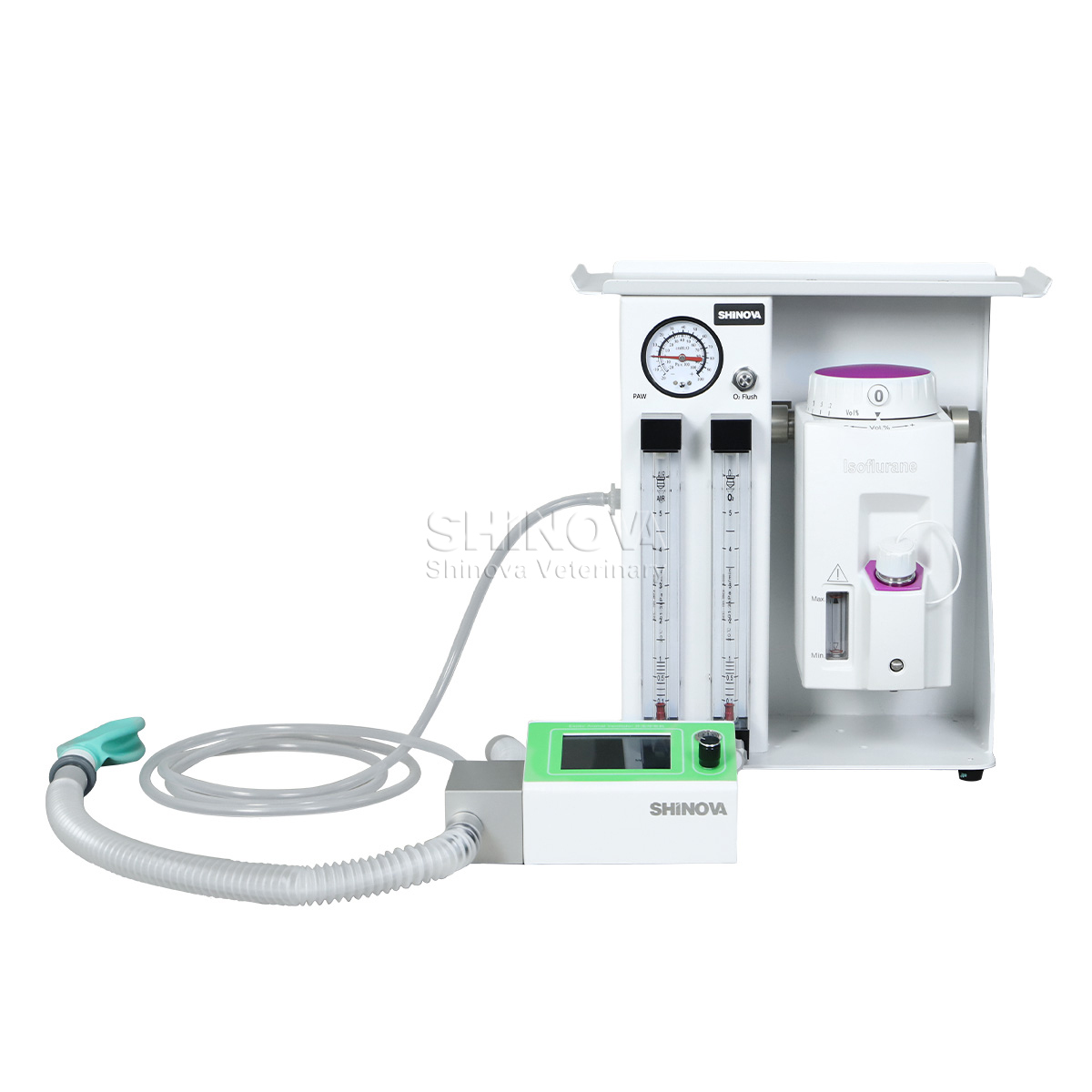 Máquina de anestesia animal exótica