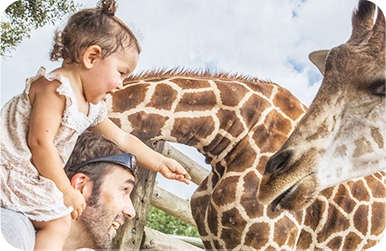 Soluciones para zoológicos