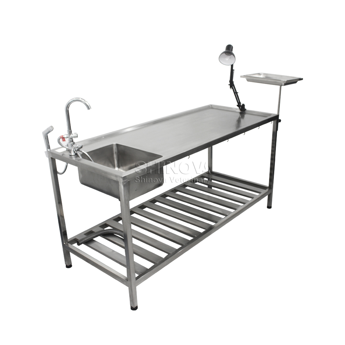 Mesa de disección animal de acero inoxidable