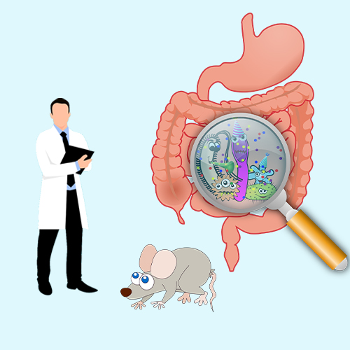 El papel clave del colonoscopio de ratones en la investigación experimental de animales: avance de la evaluación de drogas y la innovación científica