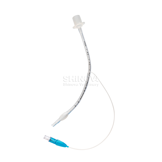 Tubo endotraqueal con puño/sin manguito