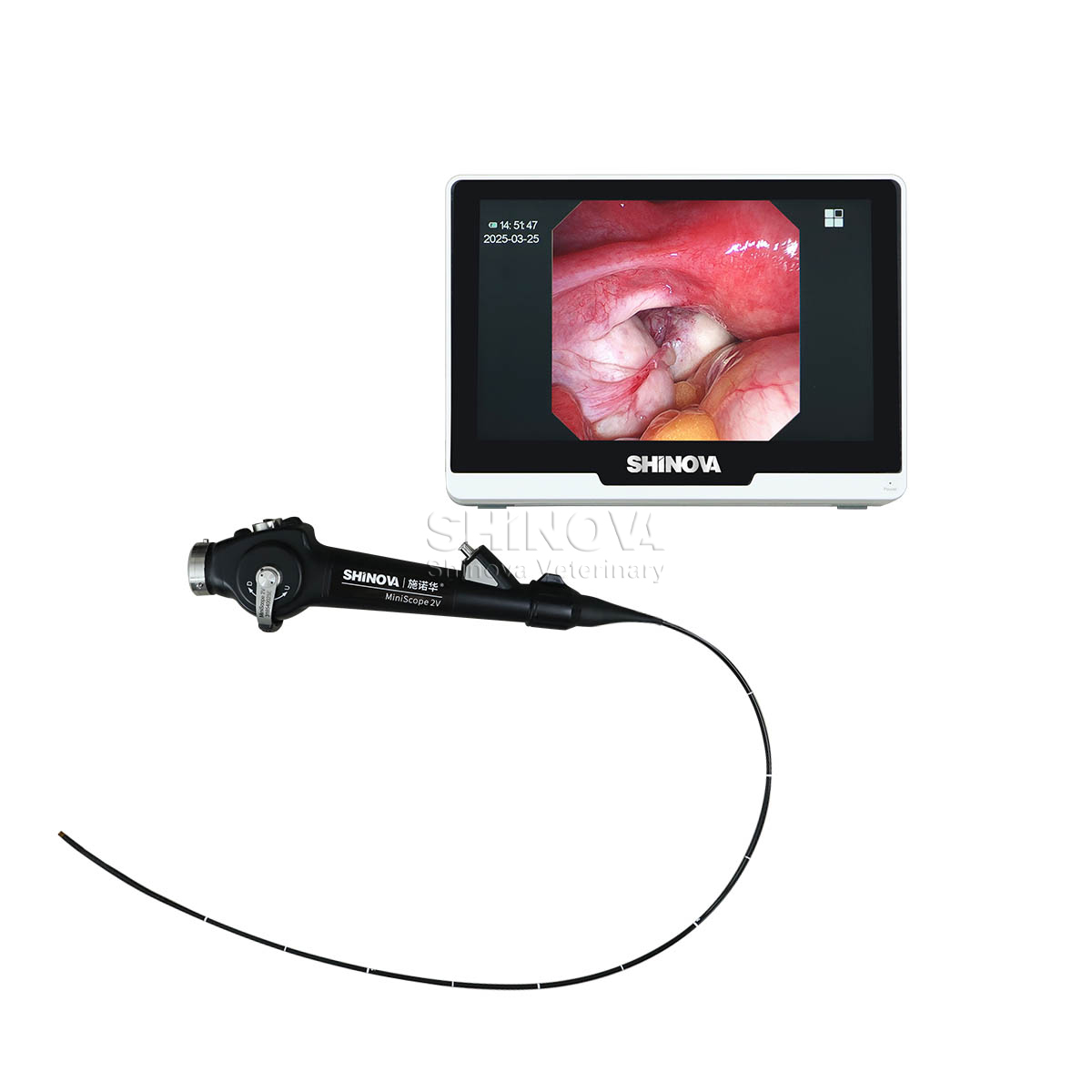 Endoscopio veterinario portátil (2.8 mm)