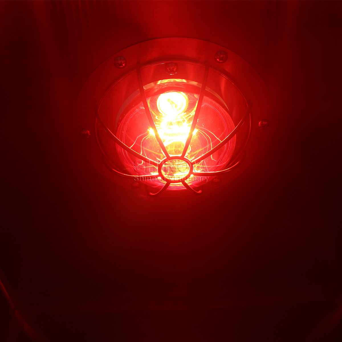 MCG-304C_5