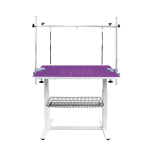 Mesa de arreglo de levantamiento eléctrico