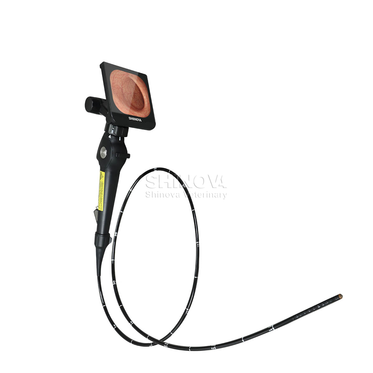 Endoscopio de video de alta definición para la broncoscopia equina
