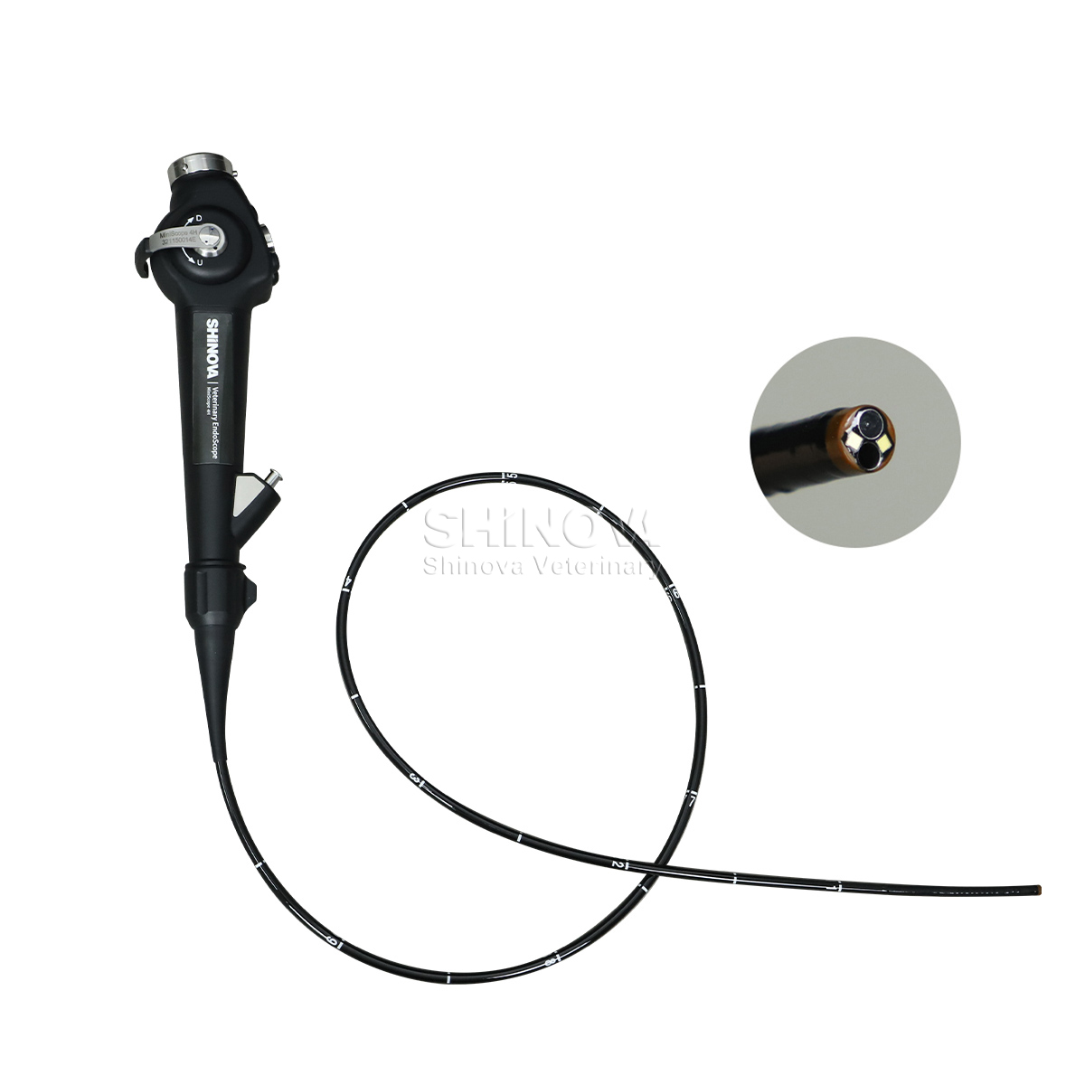 Endoscopio veterinario portátil (4.8 mm)