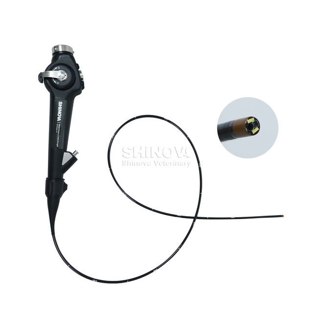 Endoscopio veterinario portátil (3.8 mm)