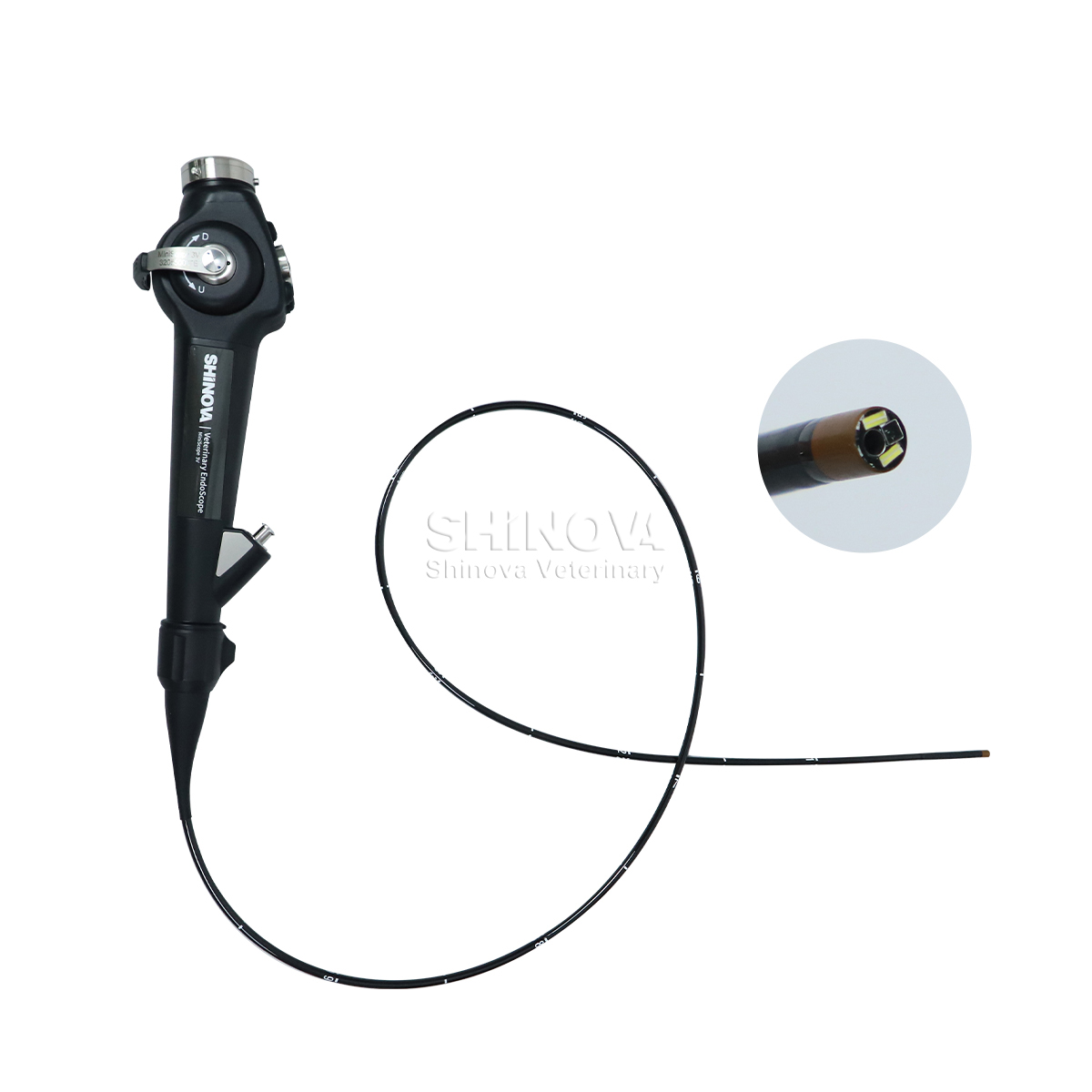 Endoscopio veterinario portátil (3.8 mm)