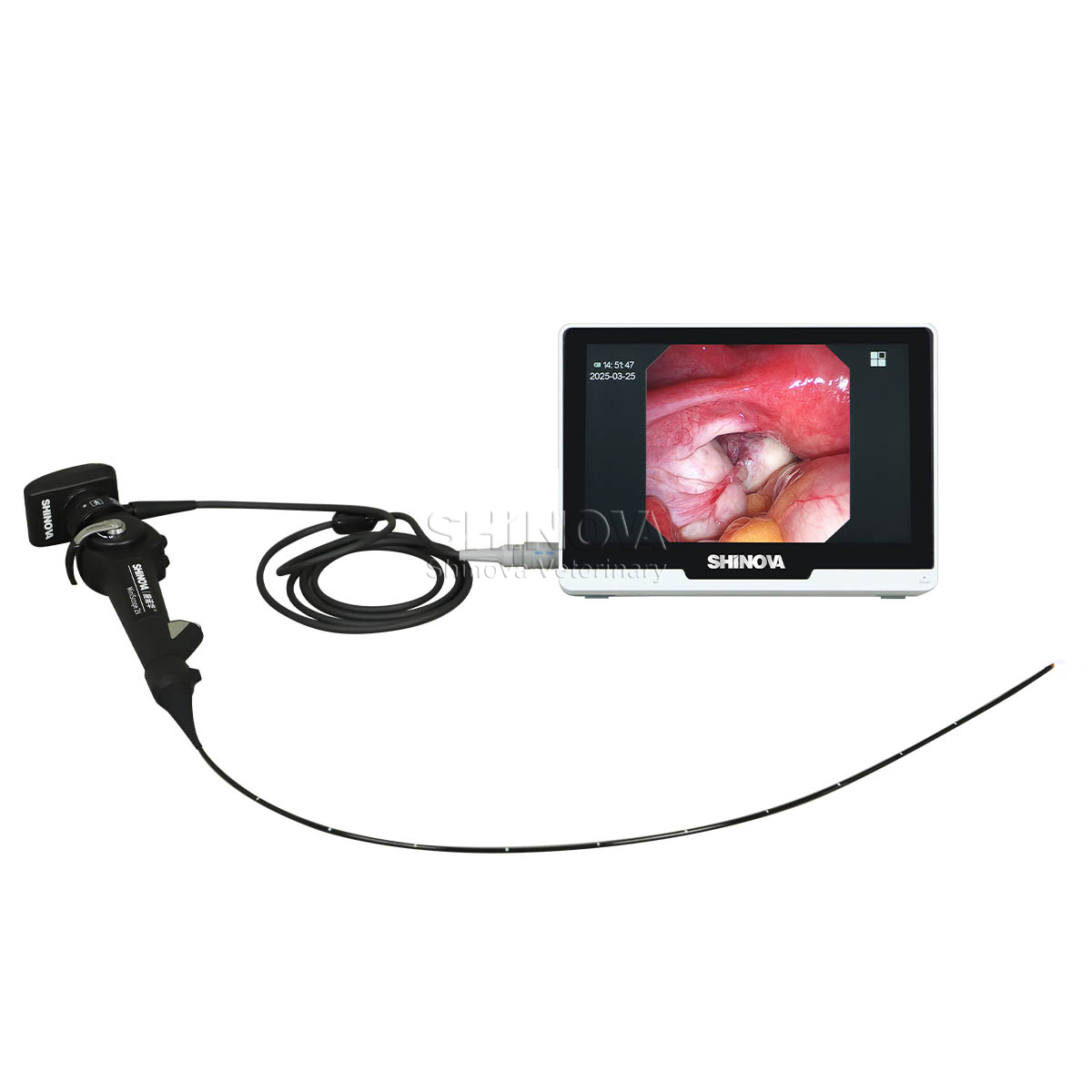 Endoscopio veterinario portátil (2.8 mm)