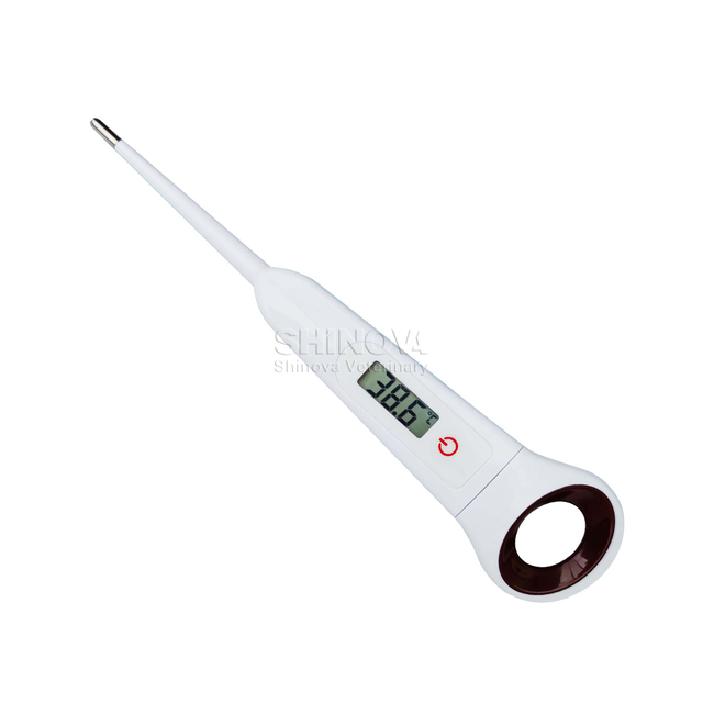 Termómetro digital veterinario (tipo de lápiz)