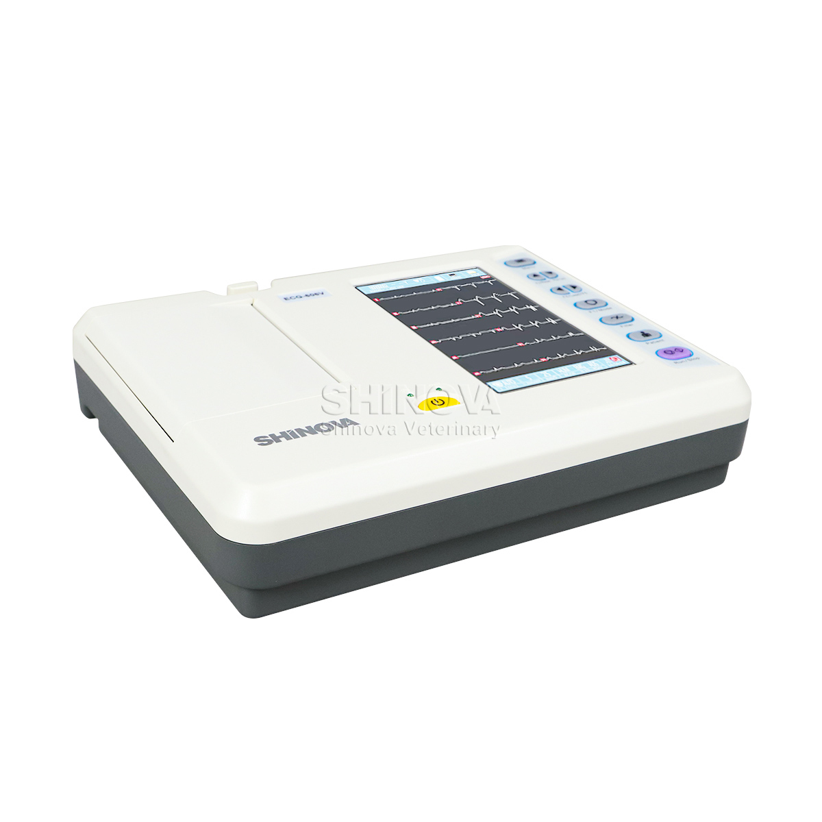 Máquina de ECG veterinaria portátil electrocardiagrama veterinaria