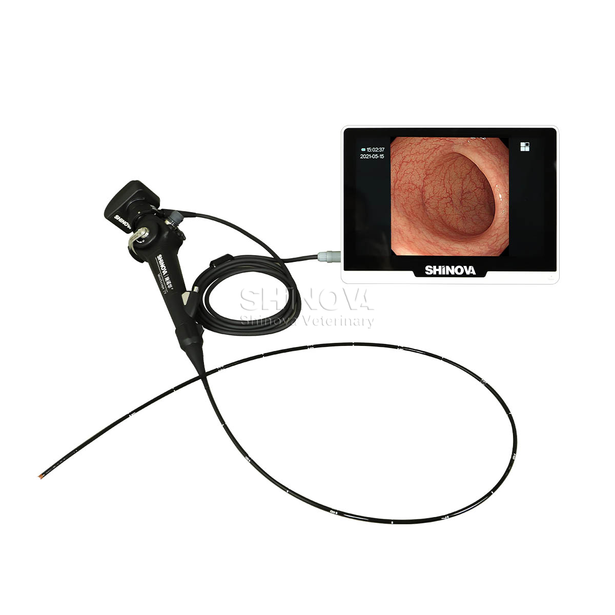 Endoscopio veterinario portátil (2.8 mm)