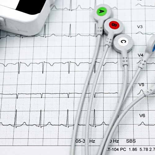 Cómo medir e interpretar la presión arterial veterinaria
